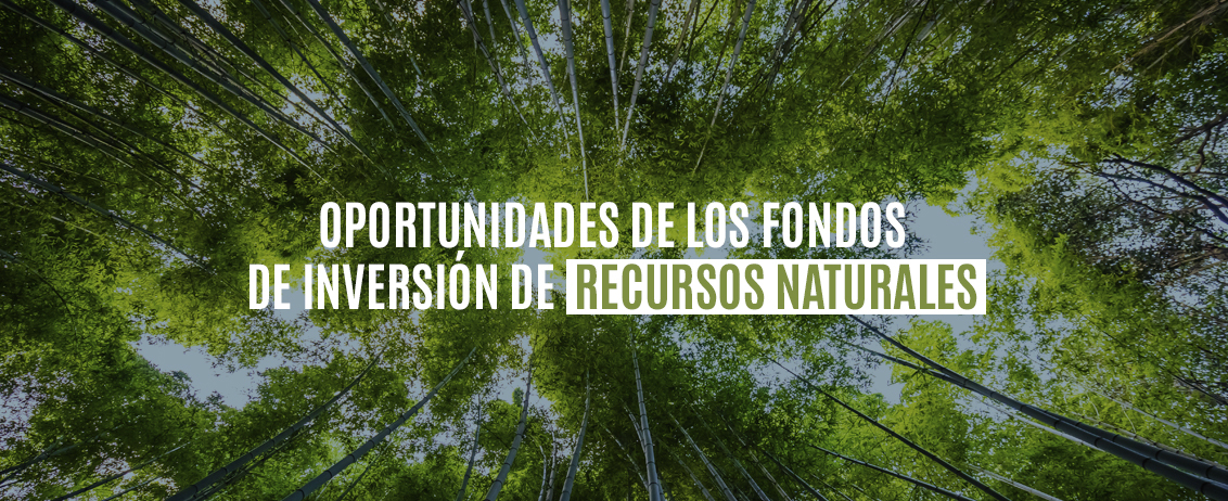 Oportunidades de los fondos de inversión de recursos naturales
